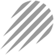 DEX2 Logo